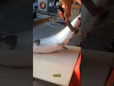 How Two Masters Fillet Salmon — So Different! #fish #shorts #fun #enertainment #knifeskills #seafood