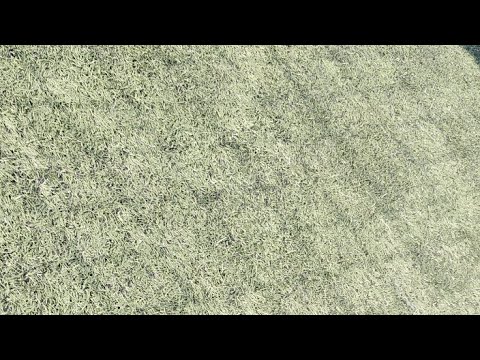 STPS/YLY yj - KUPS Keltainen, P12 kakkonen, 18.6.2026