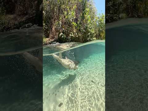 PRAIA DO PEQUIZEIRO ~ Serras Gerais ~ Tocantins