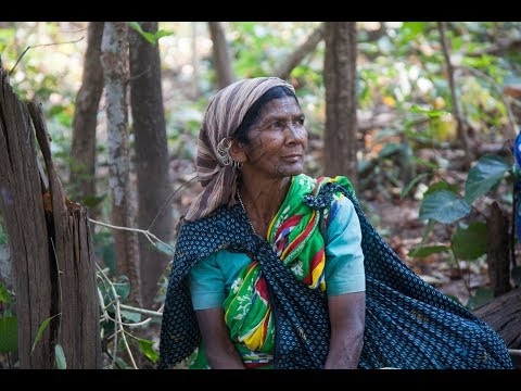 Help 300 tribal women scale their enterprise