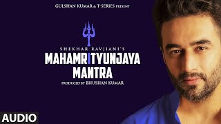 Mahamrityunjaya Mantra - Full Audio | Shekhar Ravjiani | Bhushan Kumar | T-Series - Download this Video in MP3, M4A, WEBM, MP4, 3GP