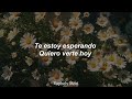Flores - Latín Mafia // (Letra)