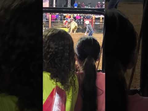 mais um rodeio Álvaro de Carvalho sp #rodeio #tiktok #nordeste #cavalo #kwai #boiadeira #boiadeiro