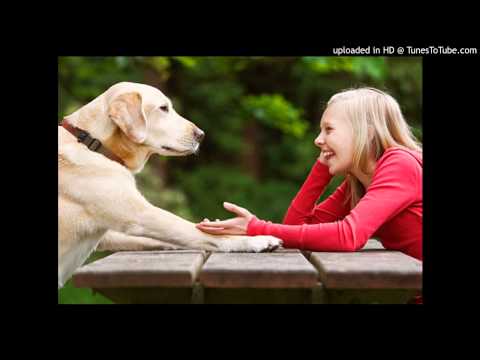 B1_L06_P120_Reading_B (B1_L06_P120_Reading_B)