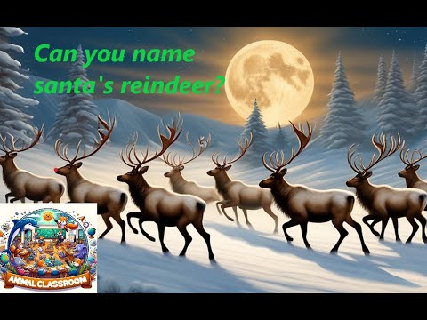 Santa's 9 Reindeer: The Untold Story