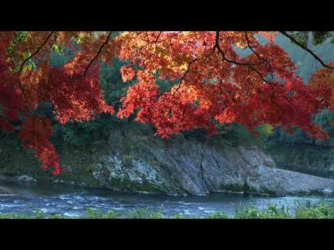 Globo de papel Eihoji