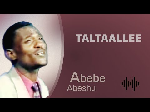 Abebe Abeshu: Taltaallee - Oromo Music