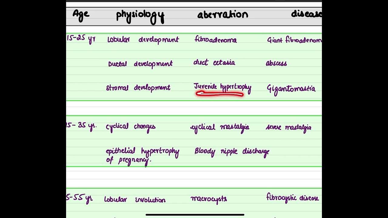 ANDI breast -Simple Explanation. Free notes