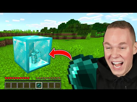 Minecraft, ABER WIR KÖNNEN IN BLÖCKE REINGEHEN