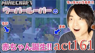 【マインクラフト】珊瑚の大きな水槽の中でウーパールーパーの赤ちゃんを繁殖させてみた!! 【セイハのセハクラ実況act161】