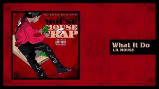 Lil Mouse - What It Do (Official Audio)