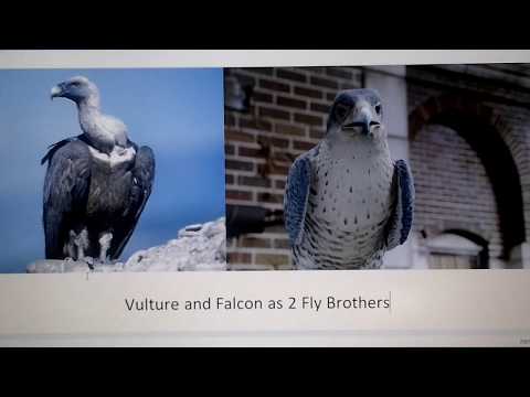 A Animal's Life cast video