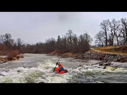 Ammerkongo im Januar 25