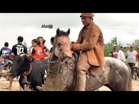 Meu cavalo é estouro - Tarcísio do acordeon  (Matuto Postou)
