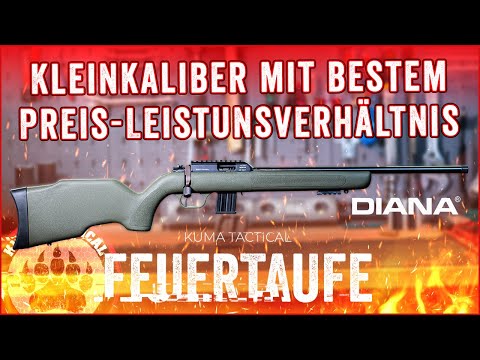 A lot of rifle for little money - Diana R22 caliber .22 LR - Baptism of fire