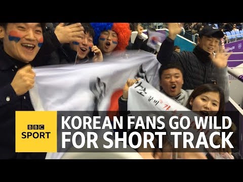 Winter Olympics: Watching short track speed skating in South Korea - BBC Sport