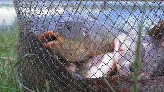 Рыбалка на платных водоемах в николаевской области