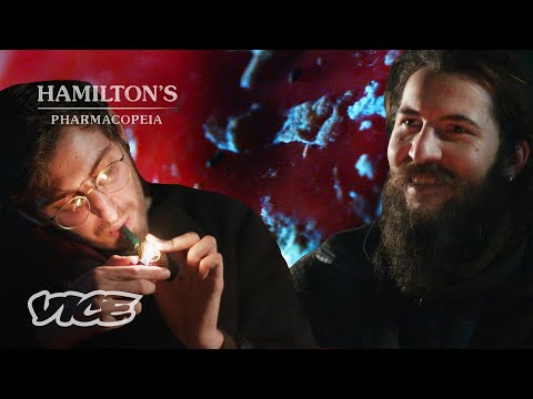 The Ultimate Magic Mushroom | HAMILTON'S PHARMACOPEIA