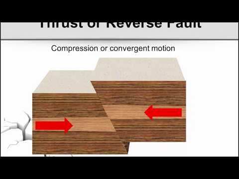 TMart Science  Folding and Faulting