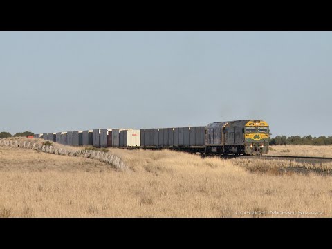 7901V Pacific National Mildura Container Train Near Wingeel (7/3/2019) - PoathTV Australian Railways