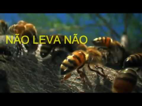 CORINHOS DA IURD PARTE 2