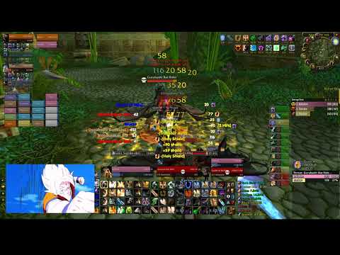 Zul'Gurub Full Clear - Paladin Tank PoV