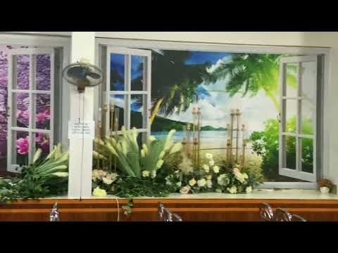 Video dự án