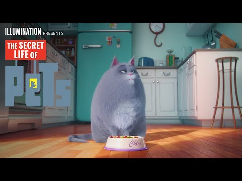 The Secret Life Of Pets | Meet Chloe (HD) | Illumination