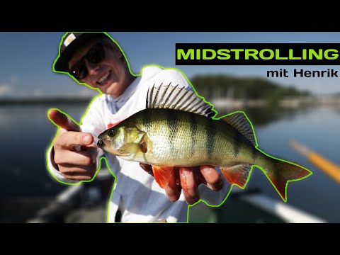 YES! Die Barsche drehen durch!! 🤯 Henrik Haack How To: DIESE Japan-Technik musst du drauf haben..