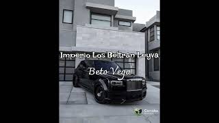 Beto Vega - Imperio Los Beltran Leyva (Nuevos Corridos) 💯 🎶 2022