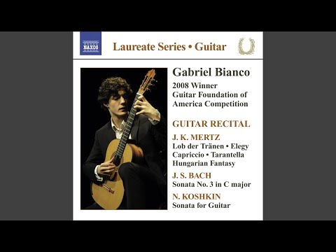 Lob der Tranen (Praise of Tears) , D. 711 (arr. J. K. Mertz)