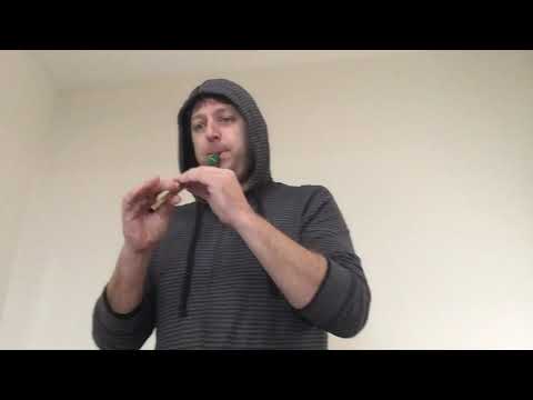 Tin whistle doggii plays waltzing Matilda off to California and hey Jude medley