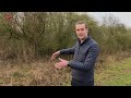 'Historisch' bosje gered van de kap