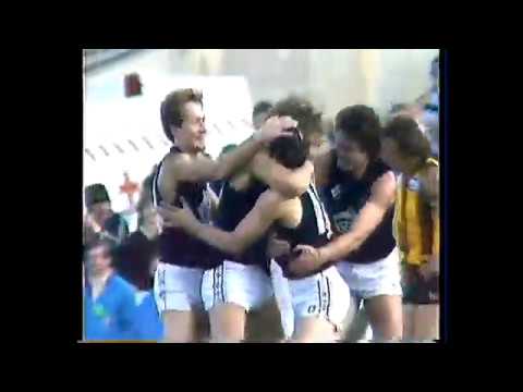 1982 Preliminary Final Carlton vs Hawthorn - Carlton only Highlights