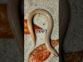 2023 Send And 6000 Send Bce Present Past Animals Ppa Animals Youtubeshorts Shorts