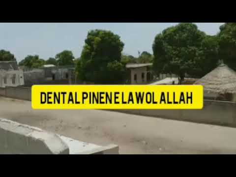 kumtari koorka gonass