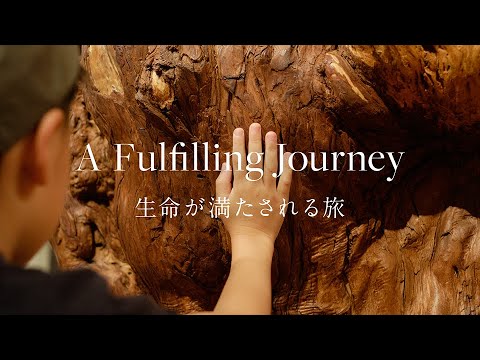 【屋久島】Family Getaway : 家族の忘れられない思い出 - A Fulfilling Journey 生命が満たされる旅