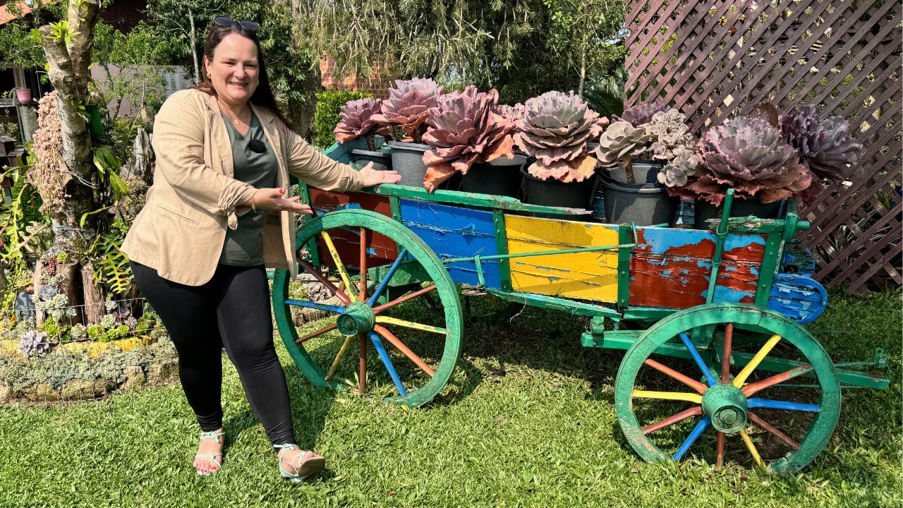 Cactos e Suculentas em Canguçu: Você Vai Amar Esses Jardins Incríveis! parte 1