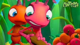 Download lagu Menyelamatkan Berry! | ANTIKS Indonesia | Kartun Anak-anak | BARU 2023 | Petualangan Semut ANTIKS mp3 Download lagu Menyelamatkan Berry! | ANTIKS Indonesia | Kartun Anak-anak | BARU 2023 | Petualangan Semut ANTIKS mp3