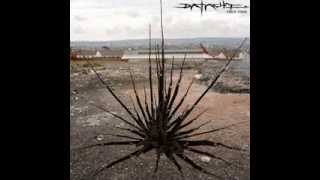 Datach'i - Bombing Brooklyn