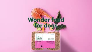 The Nosh Project - Wonder Food for Dogs
