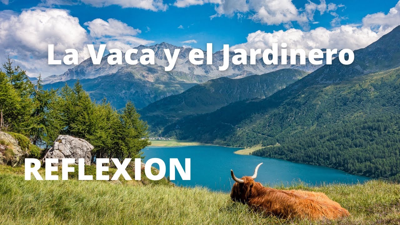 REFLEXIÓN | La Vaca y el Jardinero | reflexiones diarias | reflexiones del dia | autoestima