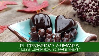 Let's Learn How to Make Elderberry Gummies