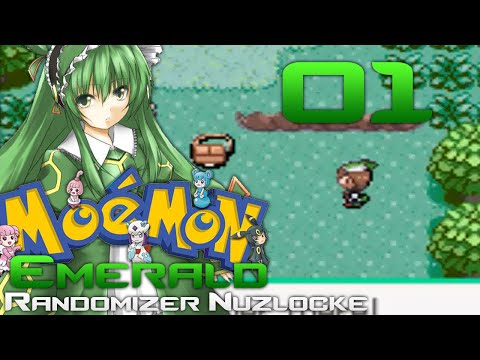 CHOOSE MY STARTER!! Return to Moemon Emerald Randomizer Nuzlocke. Ep-1