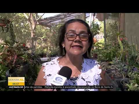 Estufas impulsionam produção de flores em Mar Vermelho - 12/03/2026