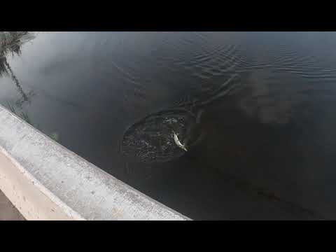 Northern Fishing Lake Butte Des Morts, GoPro 8 Black, St. Croix