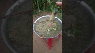 (mừng tân gia#. miền Núi..#)