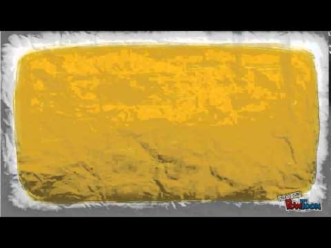 The digestive system