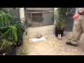 Zoo Animals Show Their Artistic Sides 
