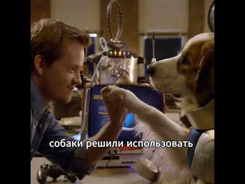 Собаки с суперспособностями😳